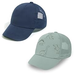 Navy Blue+sage Green Dinosaur