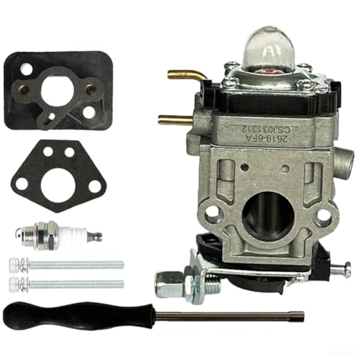 Kit carburateur BP510 aux spécifications OEM pour souffleur de feuilles TB51BP