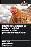 Edizioni Sapienza