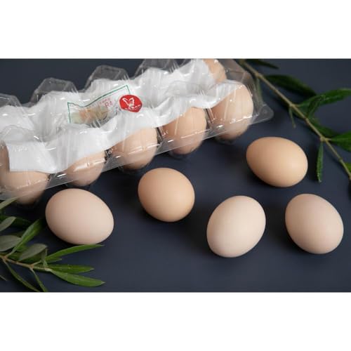 烏骨鶏卵 20個セット[卵 たまご 烏骨鶏 うこっけい 卵焼き ゆで卵 卵かけご飯 香川県 さぬき市]