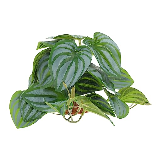 Abaodam Artificial Terrarium Plants for Reptile Tanks Natural Looking Simulated Decor for Lizard Turtle and Gecko Habitats and Enhances Aesthetic