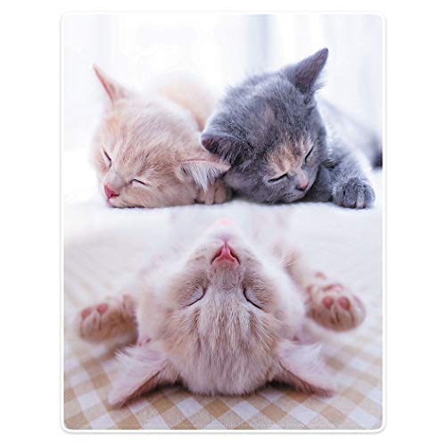 YISUMEI Kuscheldecke 150x200cm Mit Enten Muster - Super Weiches Fleece