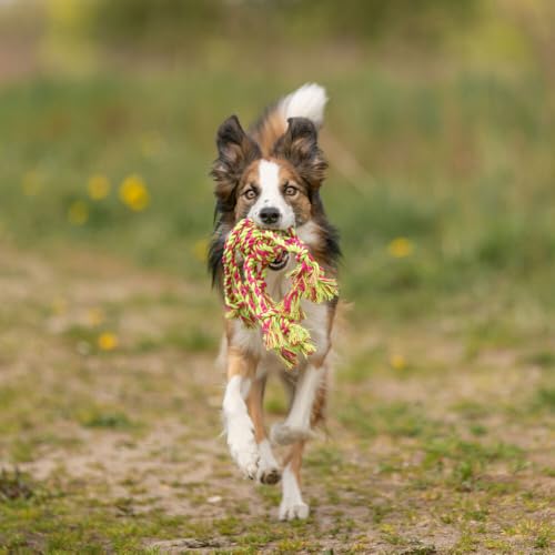 Trixie Denta Fun Seil-Spielzeug mit eingeflochtenem Ball für Hunde, 44 x 7 cm (farblich sortiert)
