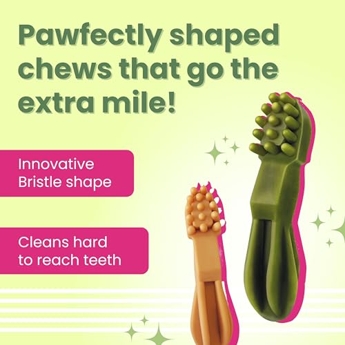 Image of BARK Out Loud - Dental Treats | Brush Shape Dog Chews | Removes Plaque /Tartar | Fresh Smell | Oral Care Gluten Free| Chicken Dog Treats- 200 GMS (100 gm x 2), All Life Stages, Stick