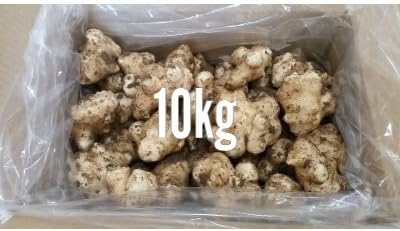 Amazon Co Jp 天然菊芋１０ｋｇ 土付き 北海道十勝産 食品 飲料 お酒