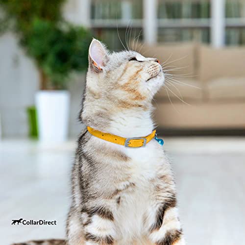 Image of CollarDirect Leather Cat Collar, Cat Safety Collar with Elastic Strap, Kitten Collar for Cat with Bell Black Blue Red Orange Lime Green (Neck Fit 9 inch-11 inch, Yellow)