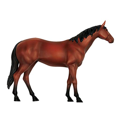 image for ALBB Medical Horse Anatomical Model - Animal Biology Skeleton Organ An