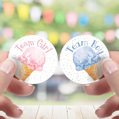 What's The Scoop Gender Reveal Team Boy or Team Girl Stickers, Pink or Blue Ice Cream Gender Reveal Decorations - 40 Count