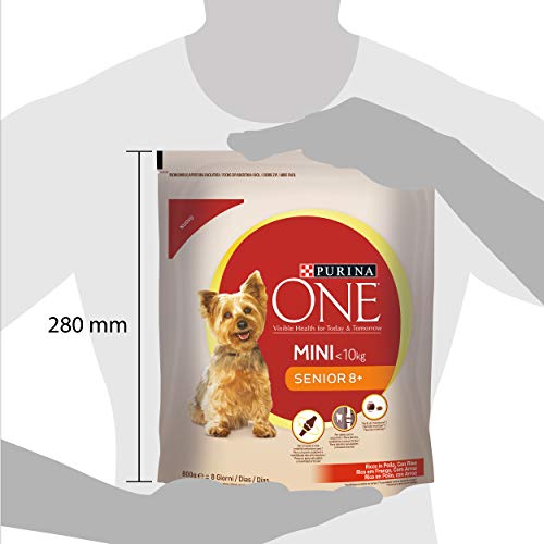 Purina One Mini, Senior 8+ Trockenfutter für ältere Hunde unter 10 kg kleine Größe, reich an Hühnchen mit Reis, 8 Packungen zu je 800 g