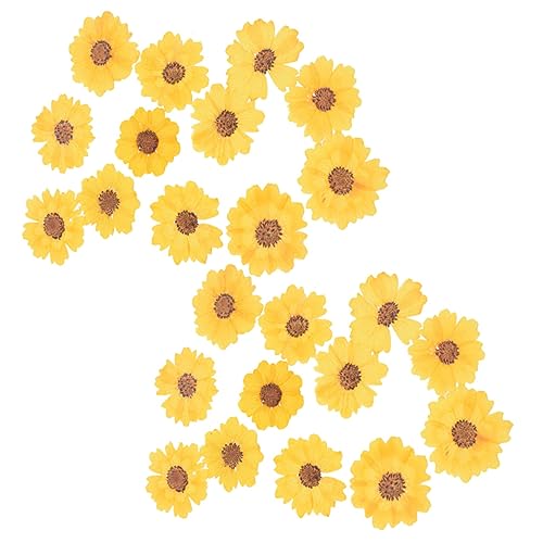 Flores prensadas secas para manualidades 48 unidades miniatura 1