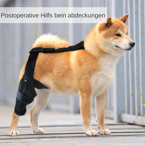 Kniebandage für Hunde bei Kreuzbandriss - Schmerzlinderung bei Arthrītis & Bänderriss | Hinterbeinstütze für Verletzungen, OP-Erholung & Gelenkstabilität | Einstellbare, rutschfeste Schutzmanschette