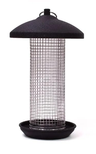 Leagrams Black Steel Peanut Feeder - Large and Small (Black, Large)