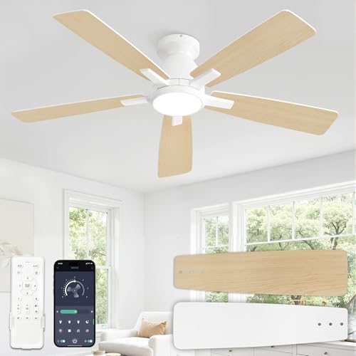 ZMISHIBO Ventilateur de Plafond DC Silencieux Réversible Lumière LED