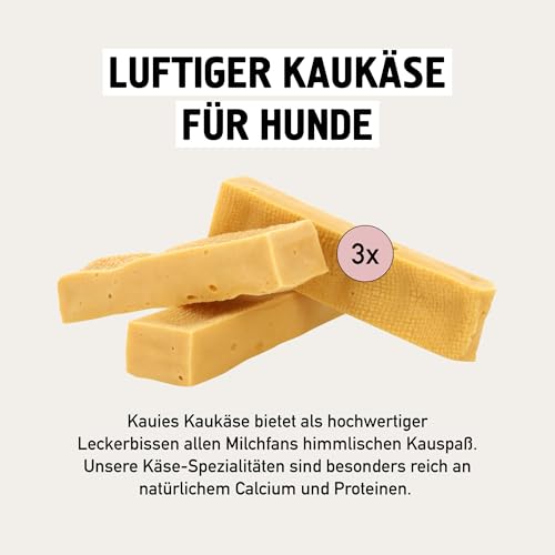 Kauies luftiger Kaukäse - 100% natürliche Käsestange für Hunde aus Kuhmilch, proteinreich, laktosefrei, glutenfrei, ideal für Welpen & Senioren, Made in Germany, Größe L (3 x 100g) bis 20kg