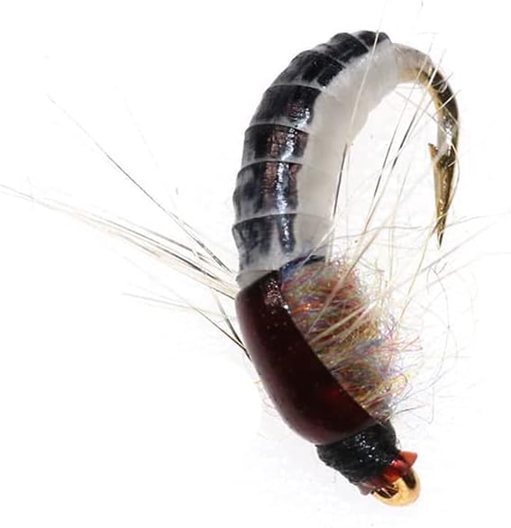 Amazon | カディスピューパ フライフィッシング用 リアル完成