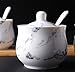 123Arts Ceramics Marbling Sugar Salt Pepper Storage Jar Seasoning Pot with Lid And Spoon