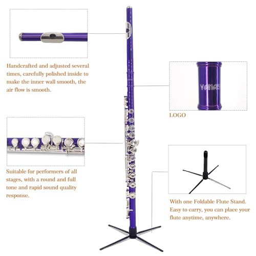 image for YANASON Purple C Flute Closed Hole 16 Keys Flute Nickel-Plated for Beg