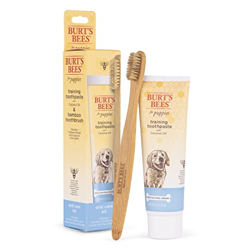 Image showcasing Top 10 All Natural Dog Toothpaste of 2022 - Katynel