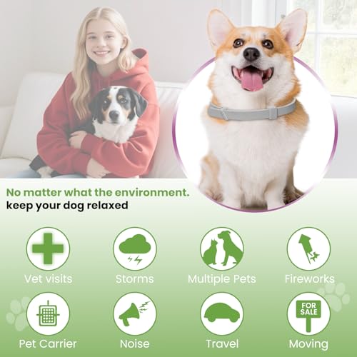 Image of 6 Pack Calming Collar for Dogs, Dog Calming for Dogs Pheromones Collar Stress and Anxiety Relief for 60 Days Gray