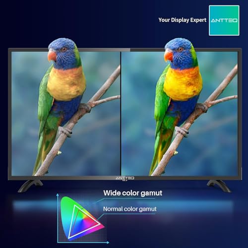 ANTTEQ AB42D1 42 inch TV 2K D-LED, Dolby Audio, 2x HDMI, USB, DVB-C/T2/S2, CI+, hotelmodus, triple tuner - Afbeelding 3