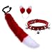 Fausse fourrure chat oreilles bandeau fourrure loup renard longue queue Costume Halloween fête cou tour de cou Cosplay ensemble