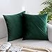 MIULEE Lot de 2 Housses de Coussin en Velours Taie d'oreiller Carrée Décorative Coussin Tissu Doux Coussin Salon à Rayures pour Canapé Sofa Chambres à Coucher Bureau Vert Foncé 45X45CM