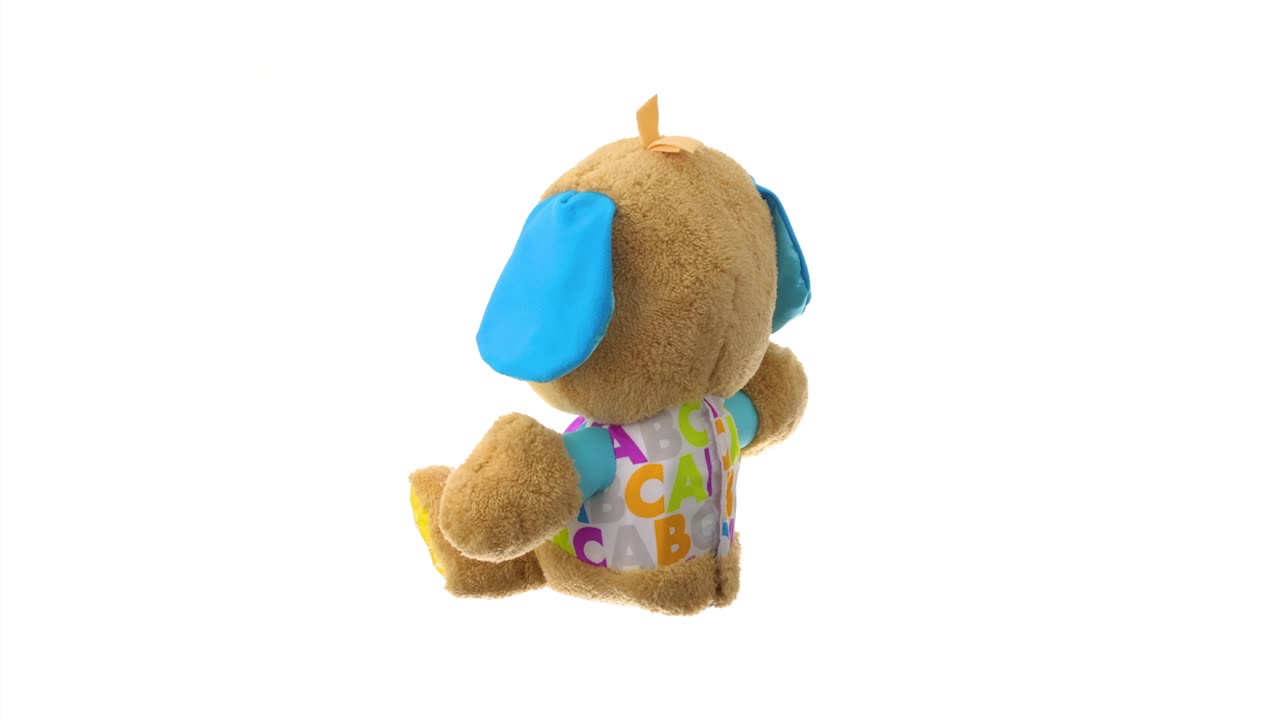 Amazon.com: Fisher Price 446FPM44FR Puppy Progressive Awakening