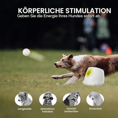 ALL FOR PAWS Automatischer Hundeballwerfer mit 6 Stück 2,5-Zoll-EPTU-Bällen, Ballwerfer für mittelgroße bis große Hunde, interaktives Apportierspielzeug für geistige und körperliche Auslastung