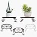 Lewondr Soporte para Macetas de Plantas de Hierro, [3 PCS] 23CM Base de Soporte Redondo Duradero de Forma Vintage, Estantería de Flores de Metal Ideal para Balcón Jardín Salón, Negro/Marrón/Blanco