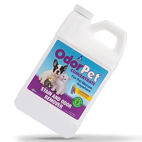 OdorPet Stain and Odor Eliminator Concentrate - Pet Carpet Cleaner - Enzyme Cleaner - Odor Eliminator Spray Refill - Safe for Pets and Family - 64 Oz. by Alpha Tech Pet (Lavender)