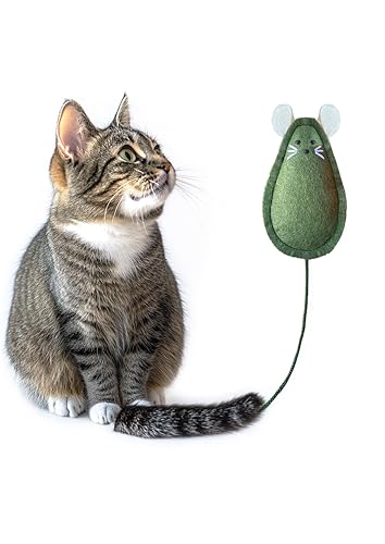 Mox Petish Katzenminze Spielzeug für Katzen - Filzmaus, Handgefertigt, Natürlich und Langlebig, Katzenminze Spielzeug (Grün, 16X8) Mox Petish Katzenminze Spielzeug für Katzen - Filzmaus, Handgefertigt, Natürlich und Langlebig, Katzenminze Spielzeug (Grün, 16X8)