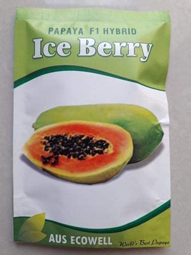 STOKIYA Ice Berry F1 Hybrid Papaya Seeds ( 200 Seed ) Seed 200 per packet (B0BR2D9LCL) Amazon Price History, Amazon Price Tracker