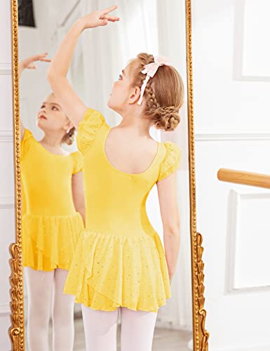 Image of Arshiner Girls Ruffle Sleeve Ballet Dance Dress Tutu Skirted Leotard