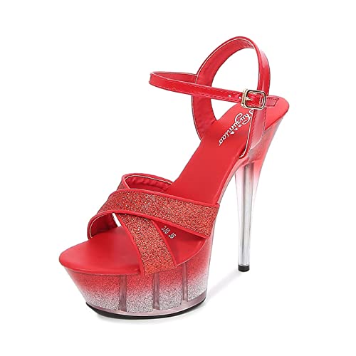 [AJGLJIYER LTD] I[vgD NANXgbv T_ nCq[ r pvX Lo  ɂȂ 傫TCY Xg[ C fB[X  sq[ q[14.5cm r   Ă΂ Loq[ 24.0c