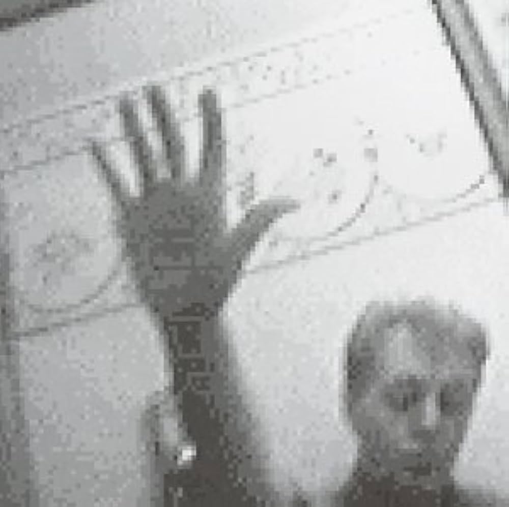 ポール・マッカートニー:ドライヴィング・ジャパン⭐️10CD BOX 2025年最新】Yahoo!オークション -paul mccartney driving japan