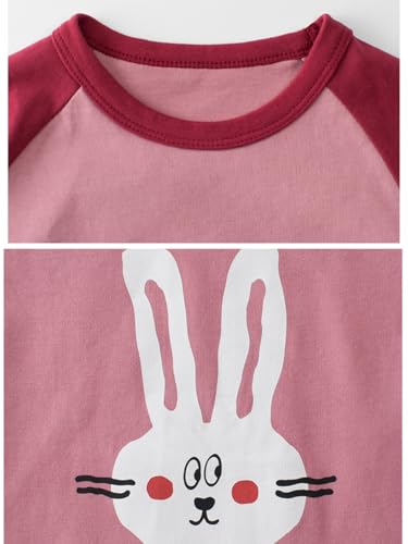 Toddler Girls Long Sleeve T-Shirts Casual Graphic Cotton Tee Shirts Multipack4