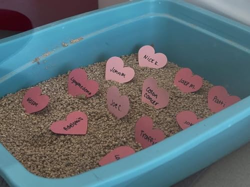 RISPCA&rsquo;s &lsquo;Love Stinks&rsquo; fundraiser offers feline-fueled revenge for Valentine's Day