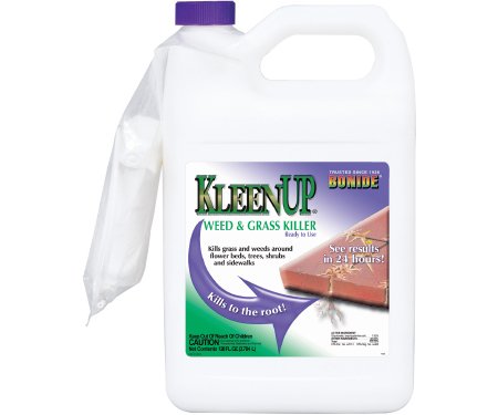 Bonide KleenUp RTU Liquid Weed and Grass Killer 1 gal.