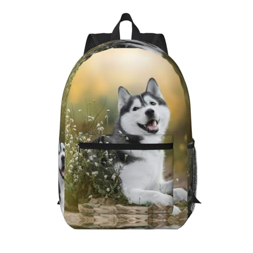 Sac à dos de voyage husky noir 43 cm avec grande poche pratique