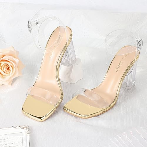 Image of Women's Clear Chunky Block Heeled Sandals 3.74 Inches Open Toe Ankle Strap Block High Heel Sandal Dress Dancing Sandals Daily Work Party Shoes
