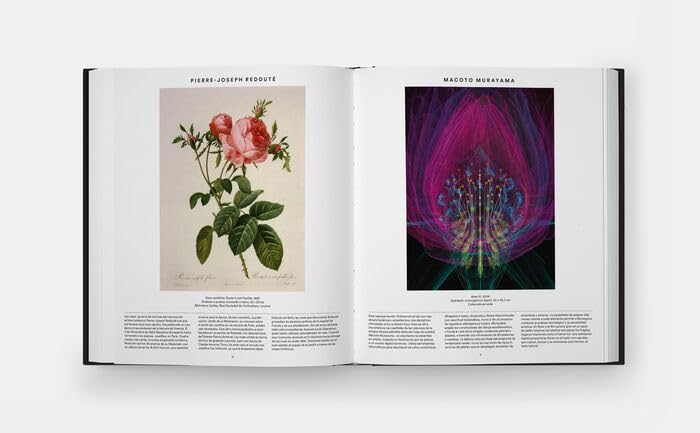 Plant: Exploring the Botanical World, Compact Format (Spanish Edition)