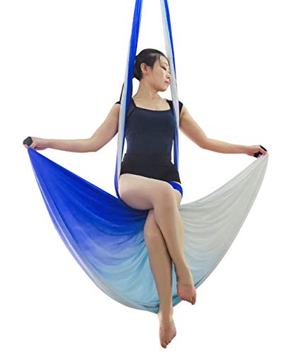 Dasking Premium Aerial Silks Equipment - Safe Deluxe Aerial Kit (Multicolor-D) #TOP2