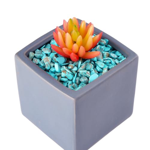 Image of WAYBER 1 Lb /460g Green Turquoise Decorative Stones Irregular Aquarium Pebbles Crystal Rocks Quartz Gravels for Fish Turtle Tank /Succulent Plants /Air Plants Decoration (Fill 1 Cup)