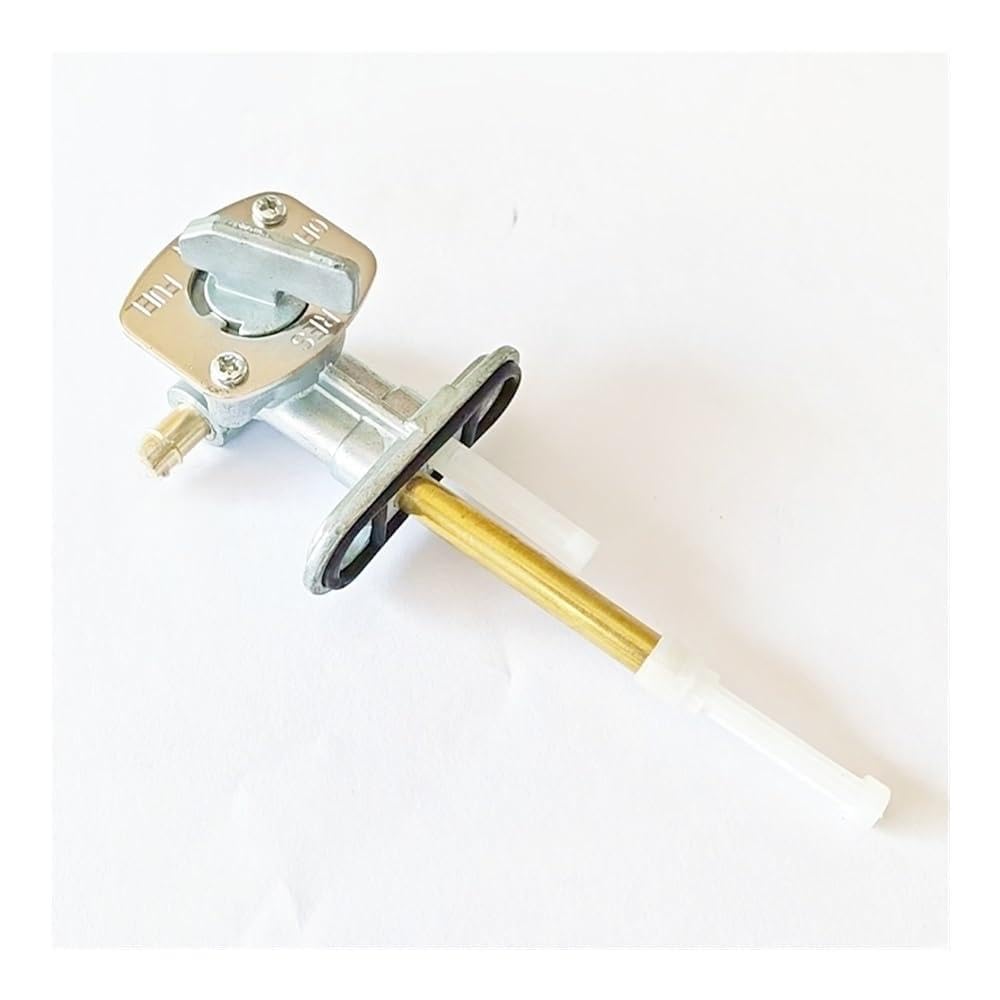 Llave de purga de 8mm para solucionar tirones y fugas en XT600E 2