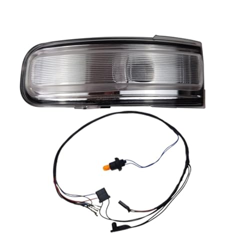 Luz señal de giro para retrovisor de coche Renegade cubierta con lámpara piloto bilateral 4
