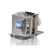 FYBQSMYSD Accessories of Projector Compatible with Vivitek XX5810005600 DX281ST DW282-ST DX263 DW265 DH268 DX28ASTAA BW566 BX565 BS564 Spare Parts(XX5810005600-CBH)