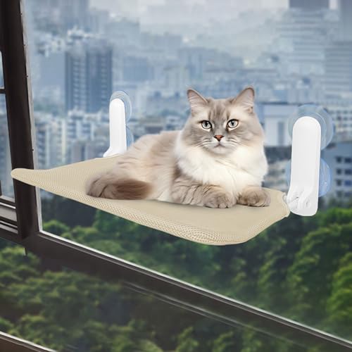 LpnbN zՂ̂  L nbN p | ^b` Lpxbh܂肽 u^ L ͂ 傫 u Lxbg }bg 􂦂 L xbh g nEX  L Q I[V[Y ˂\t@ Lp[` _炩