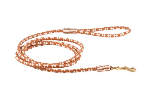 Alvalley Braided Leather Dog Leashes with Snap Clip - Pet Leads for Dogs - Soft Hand-Crafted Leather Leash - Sizes for Small, Medium, & Large Dogs (Tan -White, 152cm or 5ft - Thick)