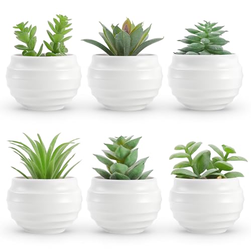 Der Rose 6 Pack Succulents Fake Plants for Bedroom...