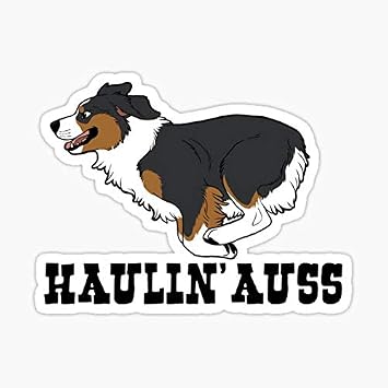 HAULIN AUSS Black tri Sticker - My STICKER Design - Sticker Graphic